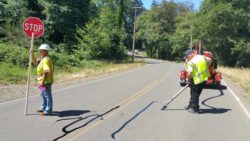 Crack Sealing Federal Way